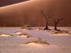 Sandscape, Namib Desert, Africa